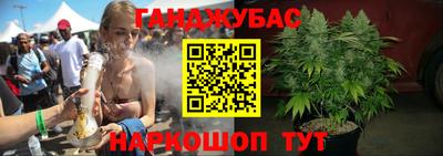 Альфа ПВП Сланцы