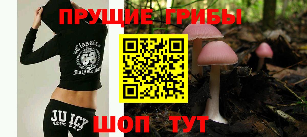 Псилоцибиновые грибы MAGIC MUSHROOMS Назарово